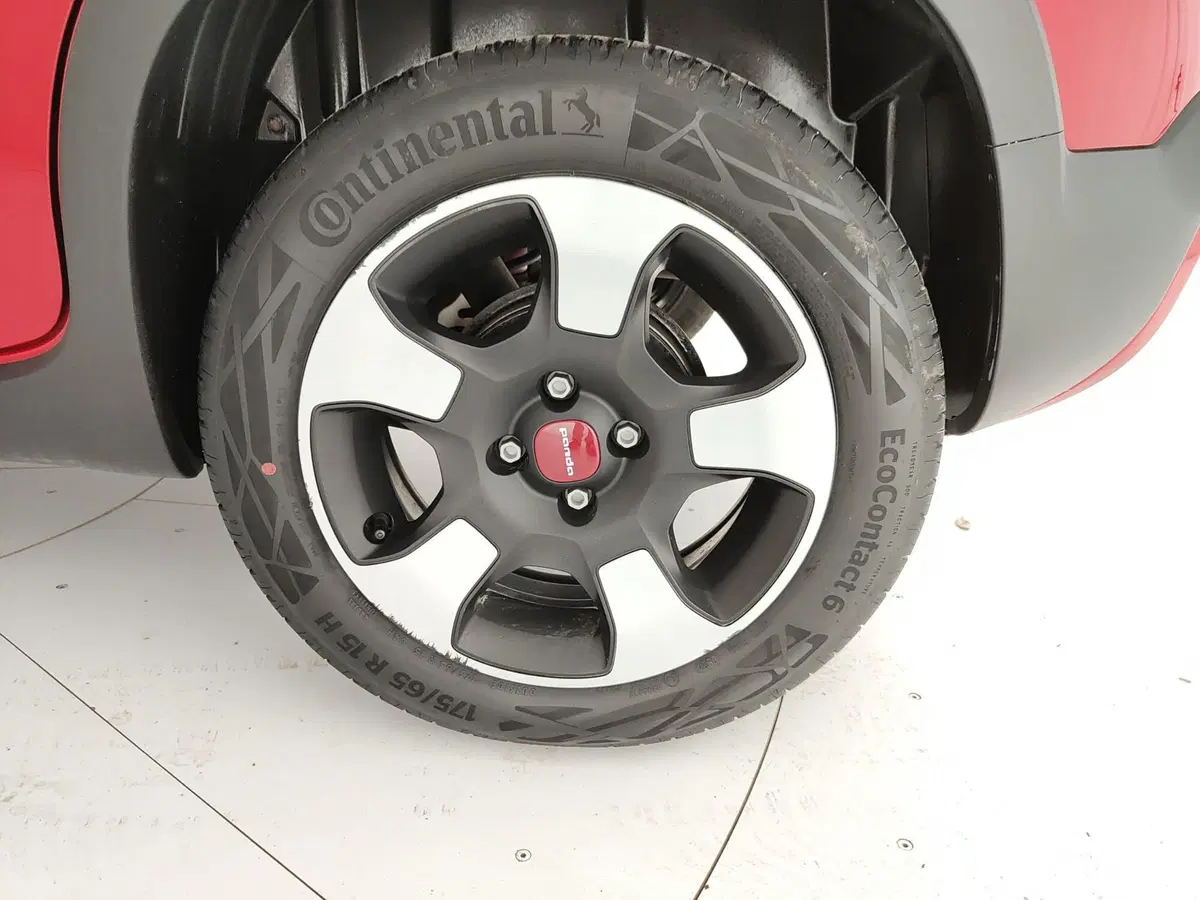 Fiat Panda Cross usata a Caserta (10)