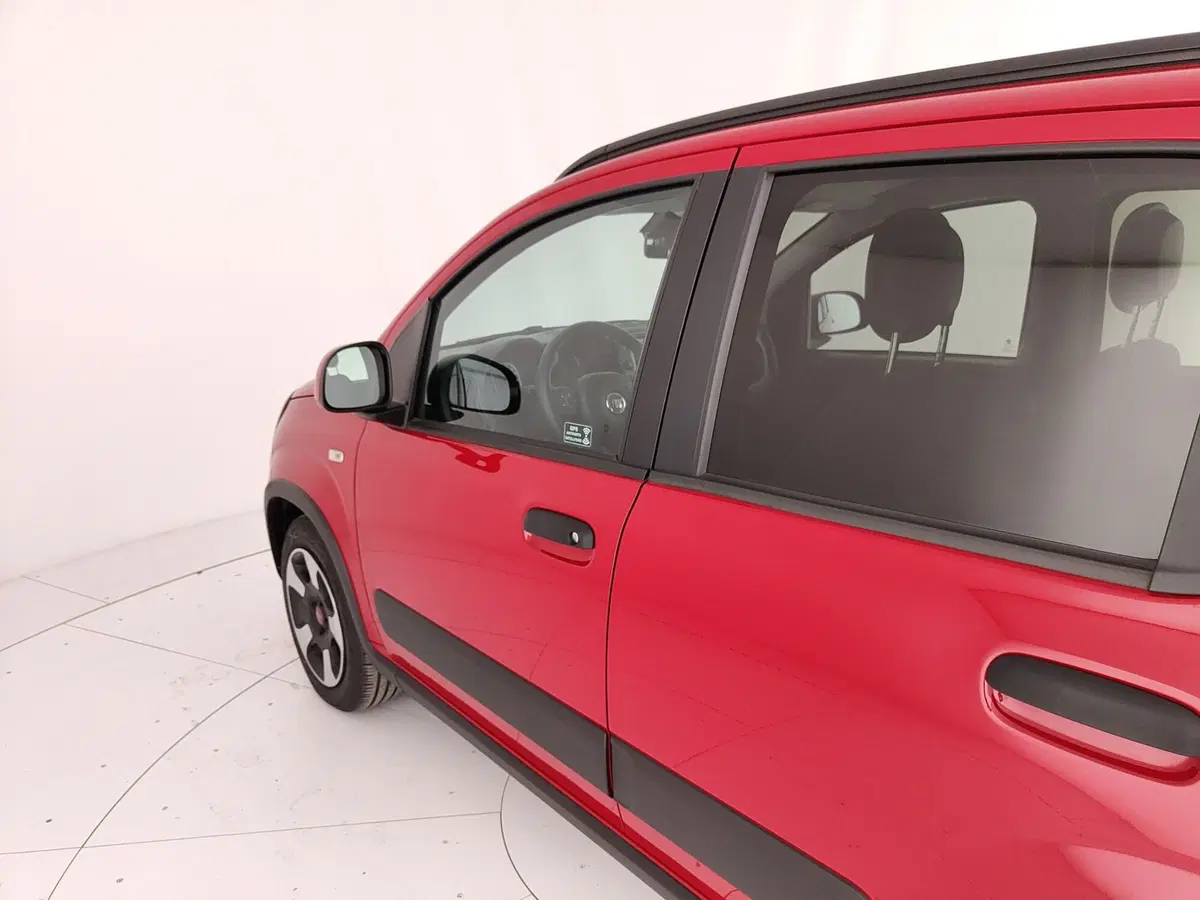 Fiat Panda Cross usata a Caserta (11)