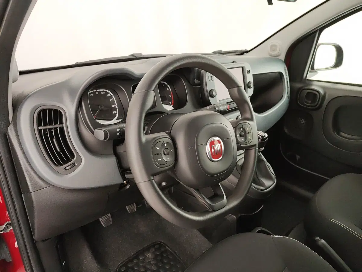Fiat Panda Cross usata a Caserta (19)