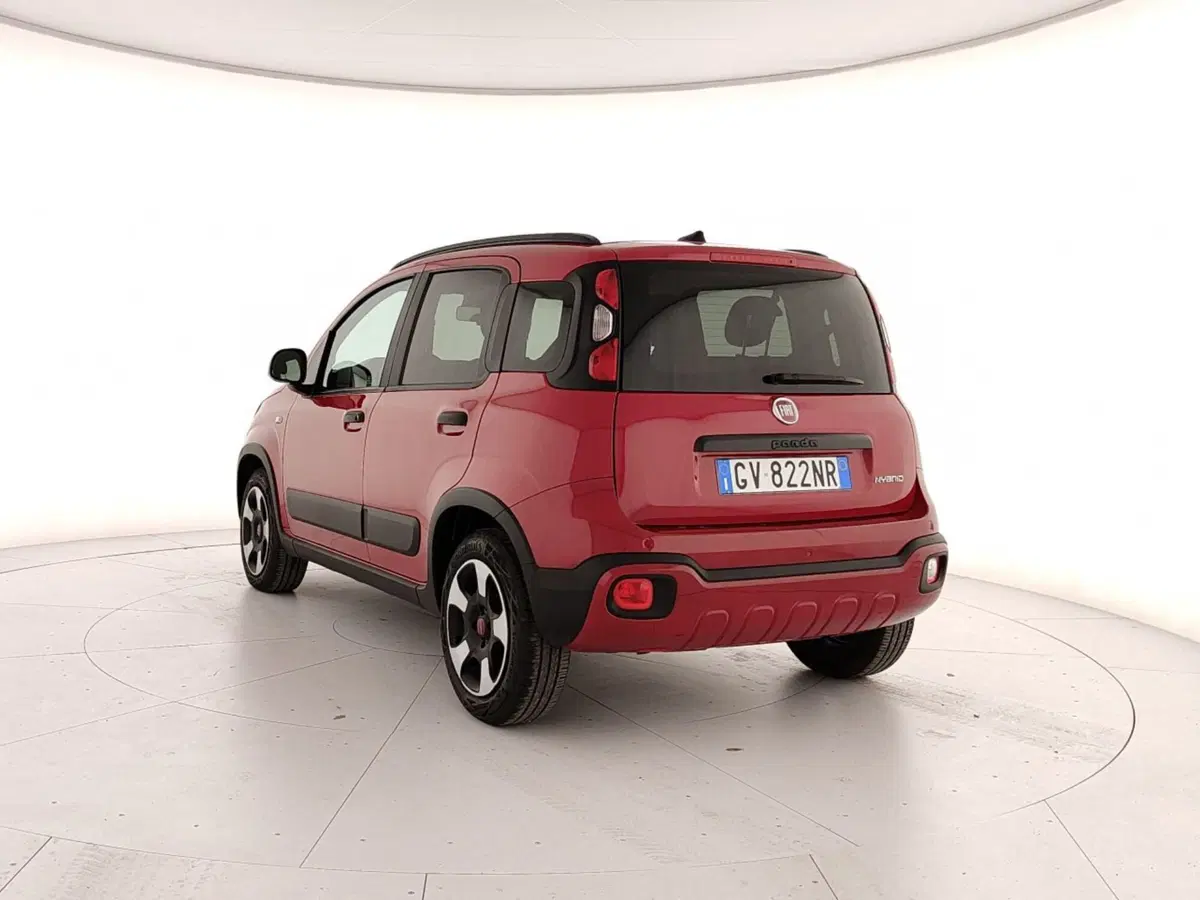 Fiat Panda Cross usata a Caserta (4)