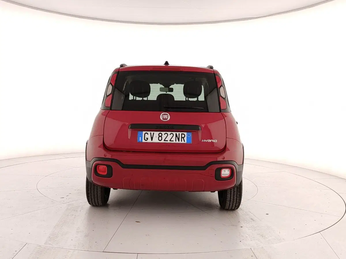 Fiat Panda Cross usata a Caserta (5)