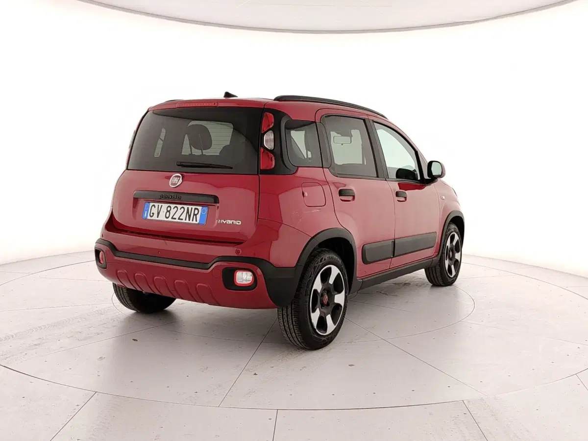 Fiat Panda Cross usata a Caserta (6)
