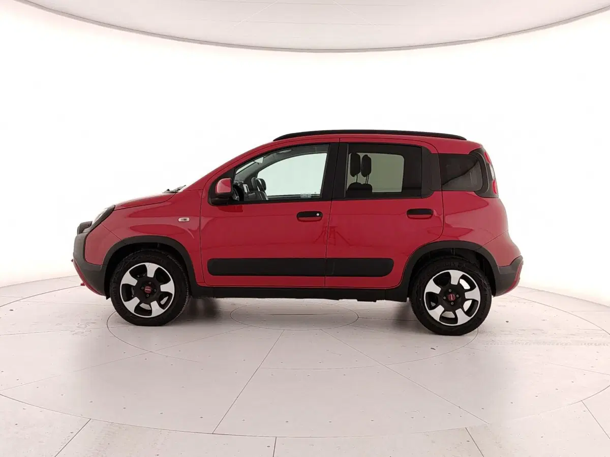 Fiat Panda Cross usata a Caserta (8)