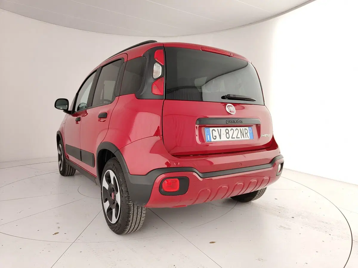 Fiat Panda Cross usata a Caserta (9)