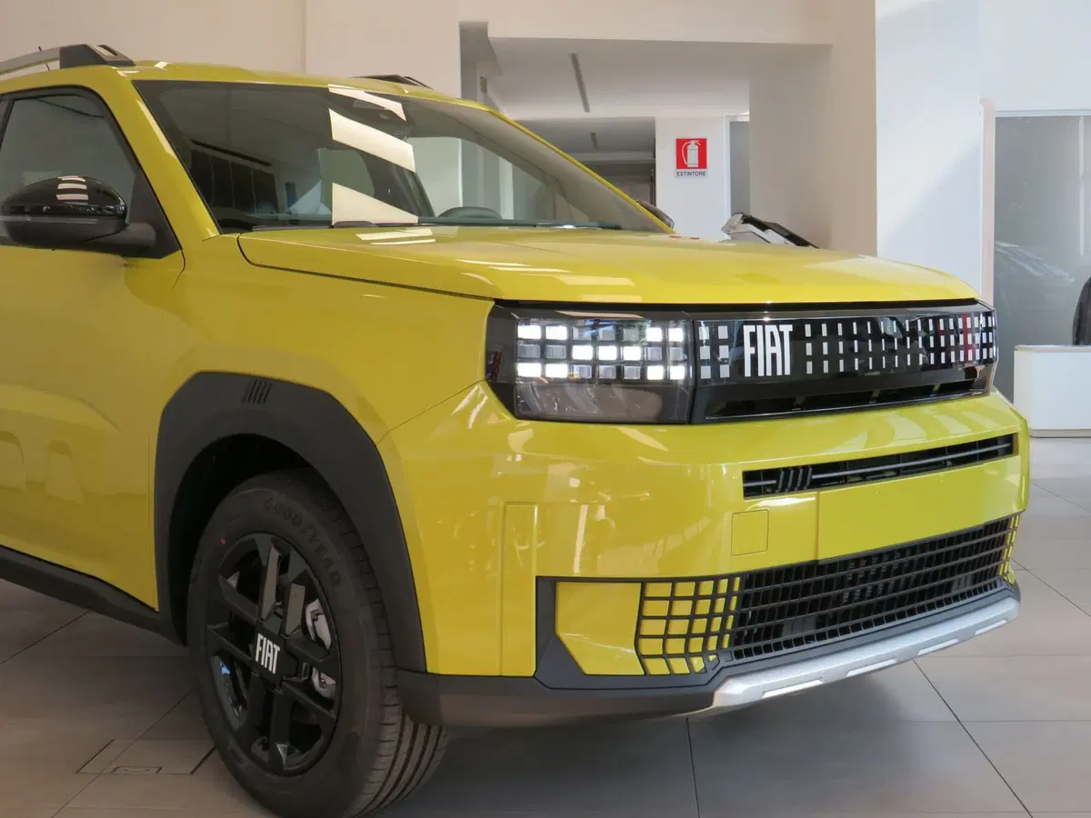Fiat Grande Panda nuova a Monza e Brianza (2)