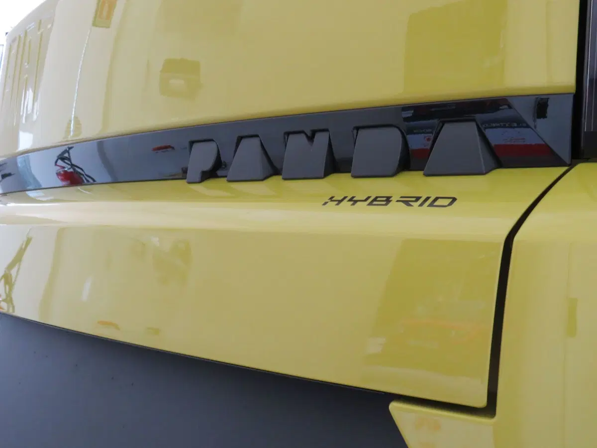 Fiat Grande Panda nuova a Monza e Brianza (8)