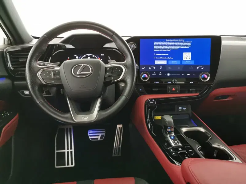Lexus NX usata a Chieti (9)