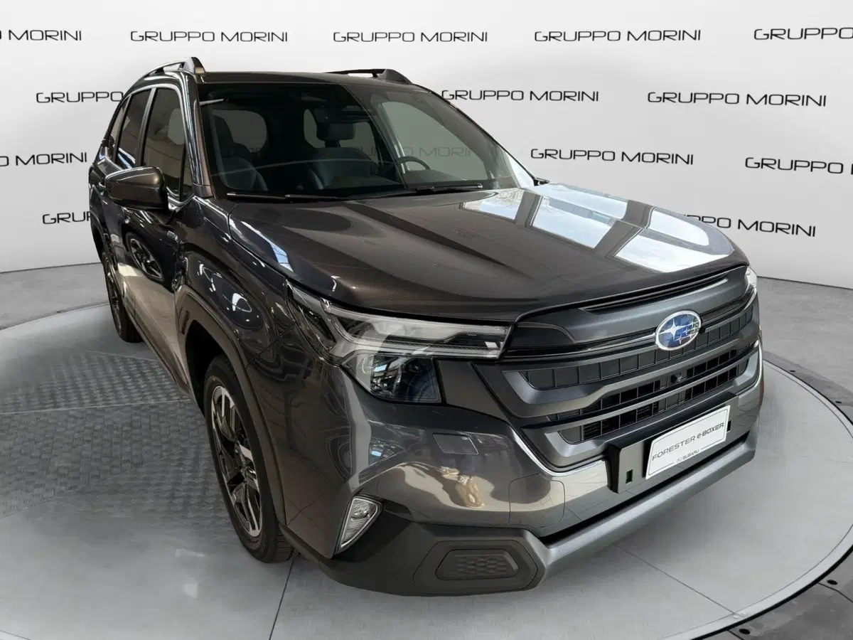 Subaru Forester nuova a Forlì-Cesena (2)