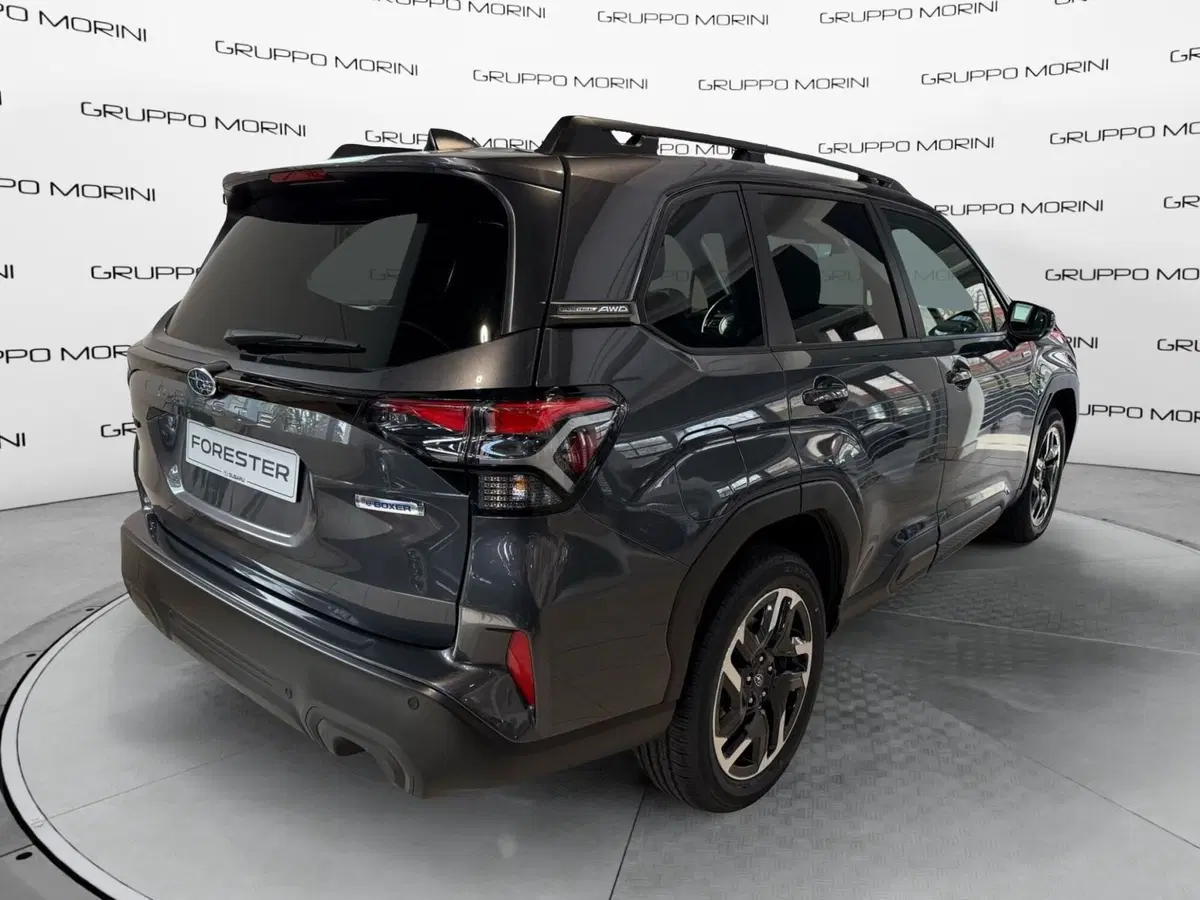 Subaru Forester nuova a Forlì-Cesena (3)