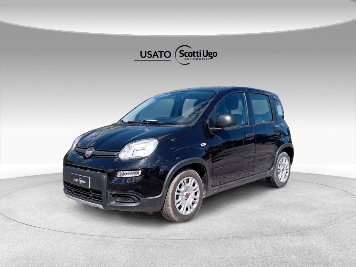 Fiat Panda Cross usata a Siena