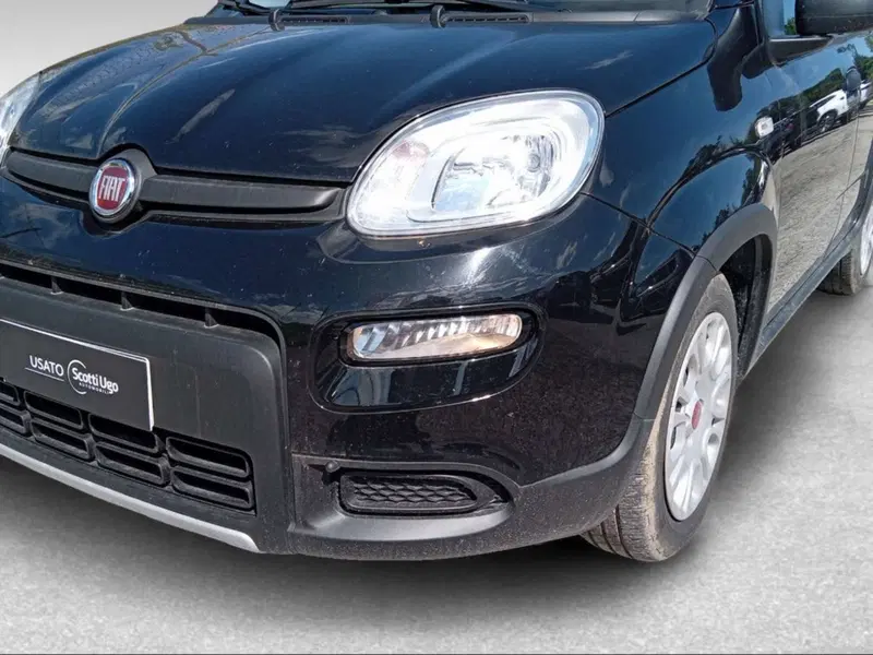 Fiat Panda Cross usata a Siena (16)