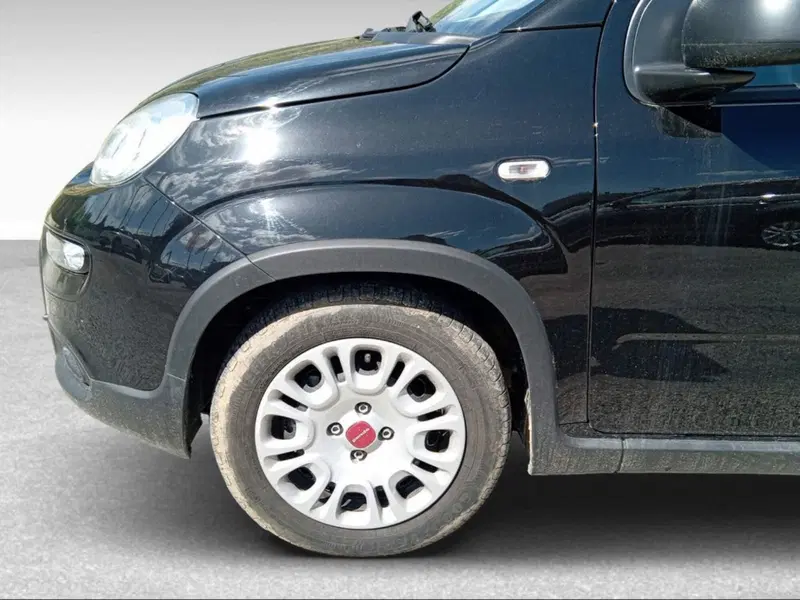 Fiat Panda Cross usata a Siena (17)