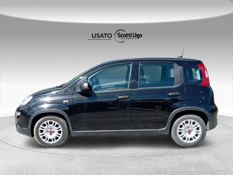 Fiat Panda Cross usata a Siena (3)