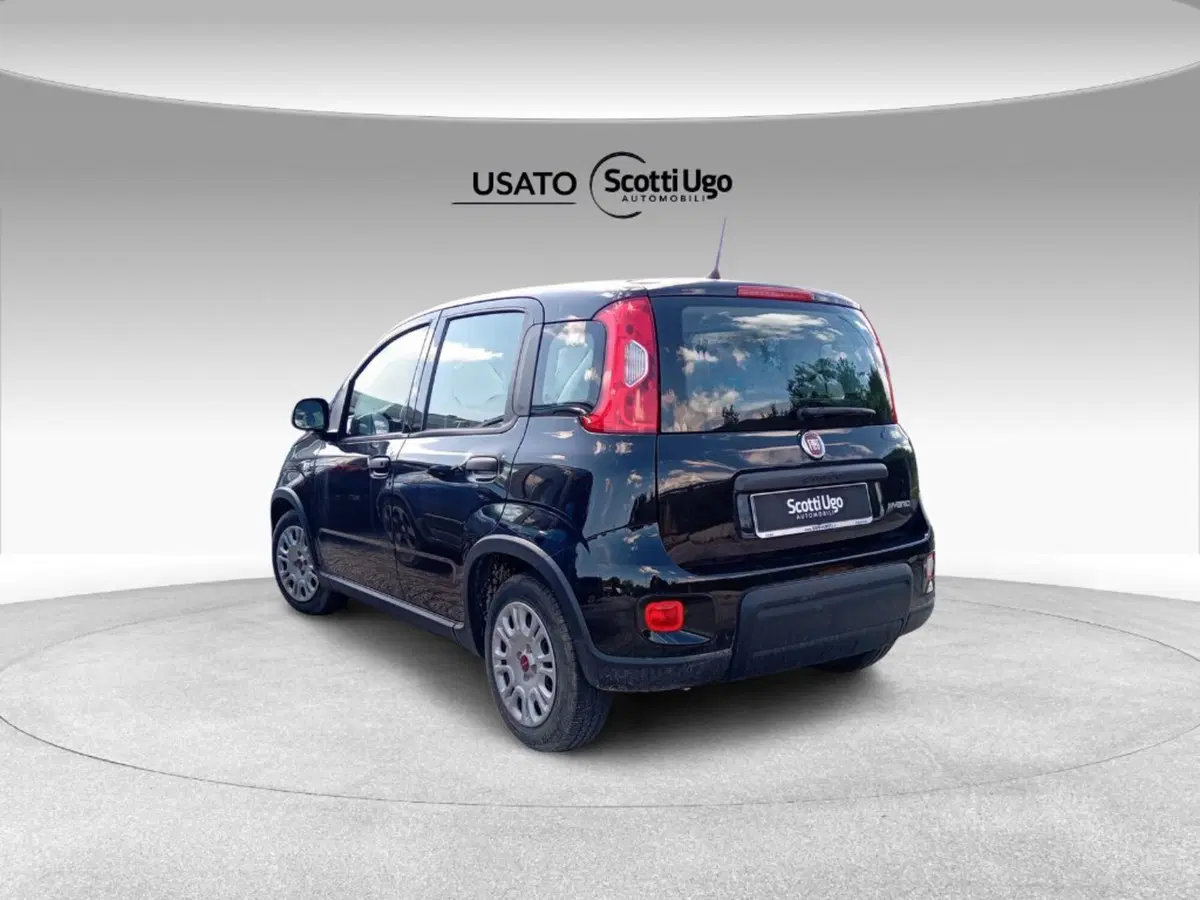 Fiat Panda Cross usata a Siena (4)