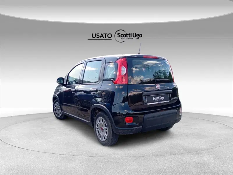 Fiat Panda Cross usata a Siena (4)