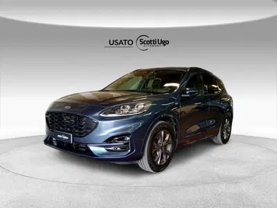 Ford Kuga 1.5 EcoBoost 150 CV 2WD ST-Line del 2021 usata a Castelfiorentino