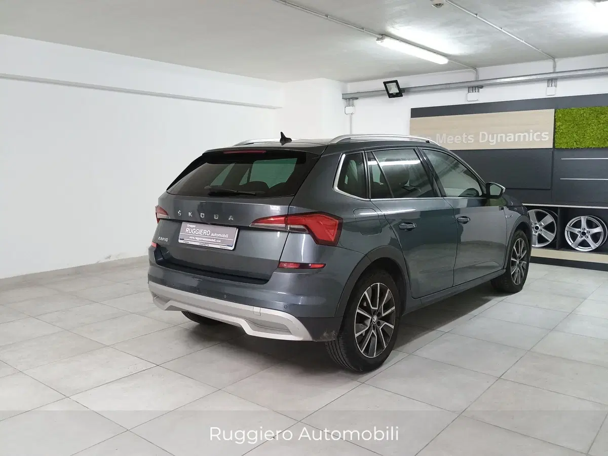 Skoda Kamiq usata a Catanzaro (4)