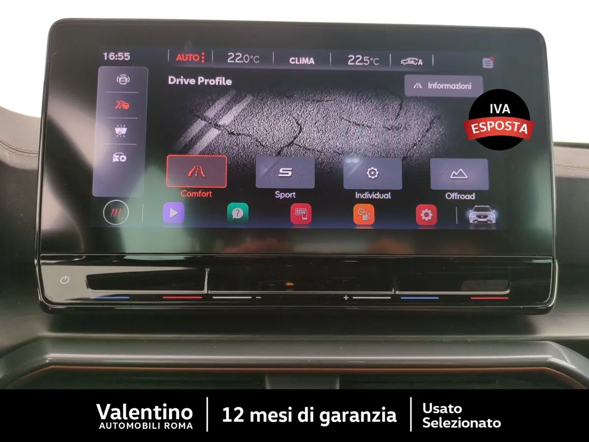 Cupra Formentor usata a Roma (19)
