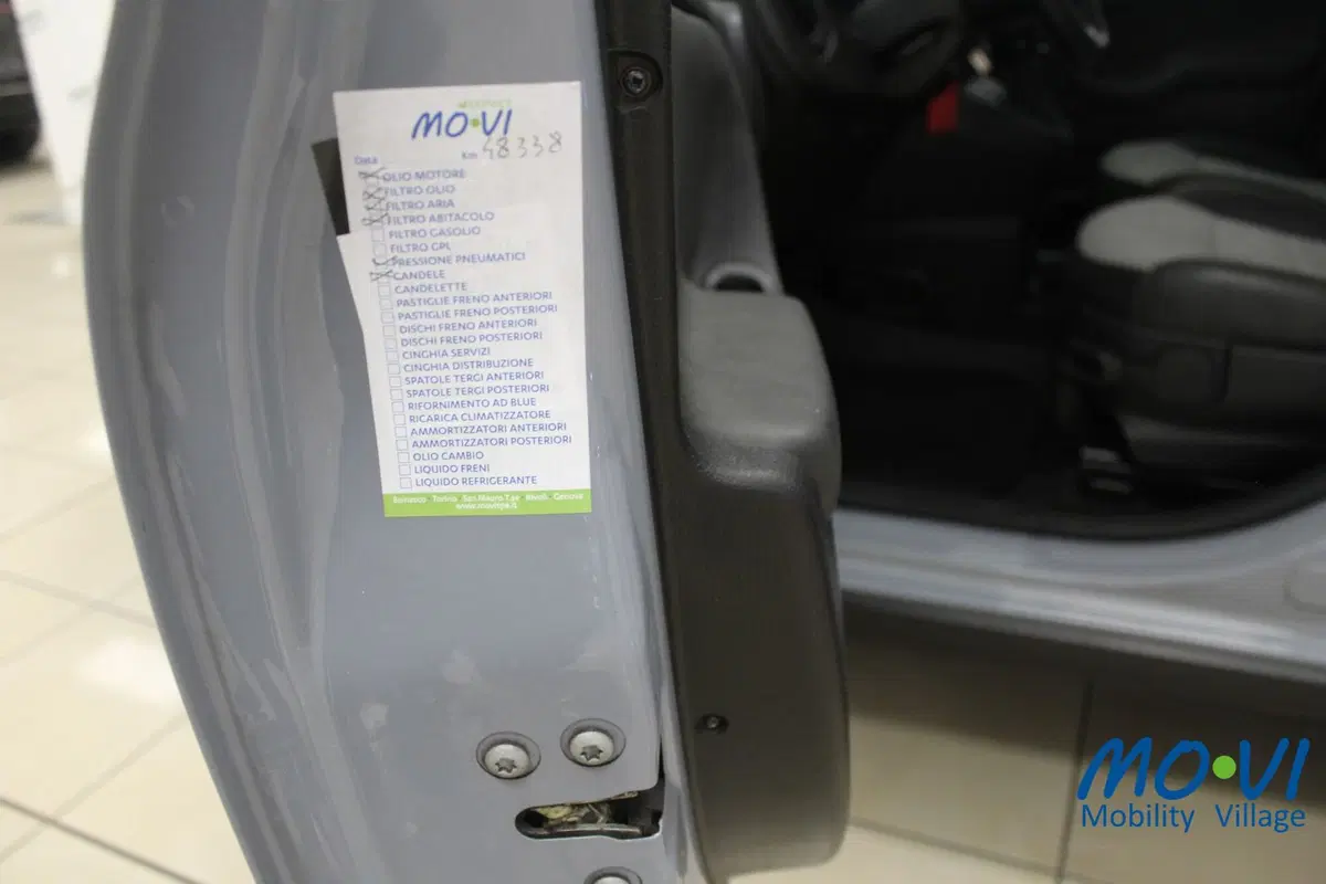 Fiat Panda Cross usata a Torino (16)