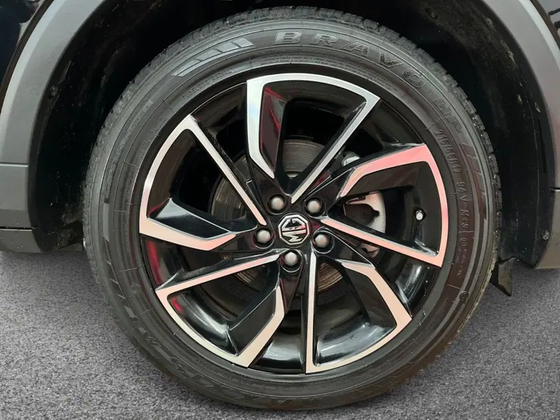 Mg ZS usata a Bari (6)