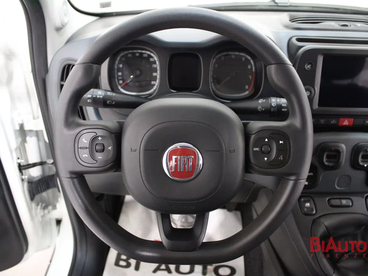 Fiat Panda Cross usata a Firenze (10)