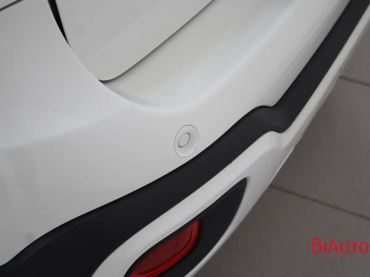 Fiat Panda Cross usata a Firenze (14)