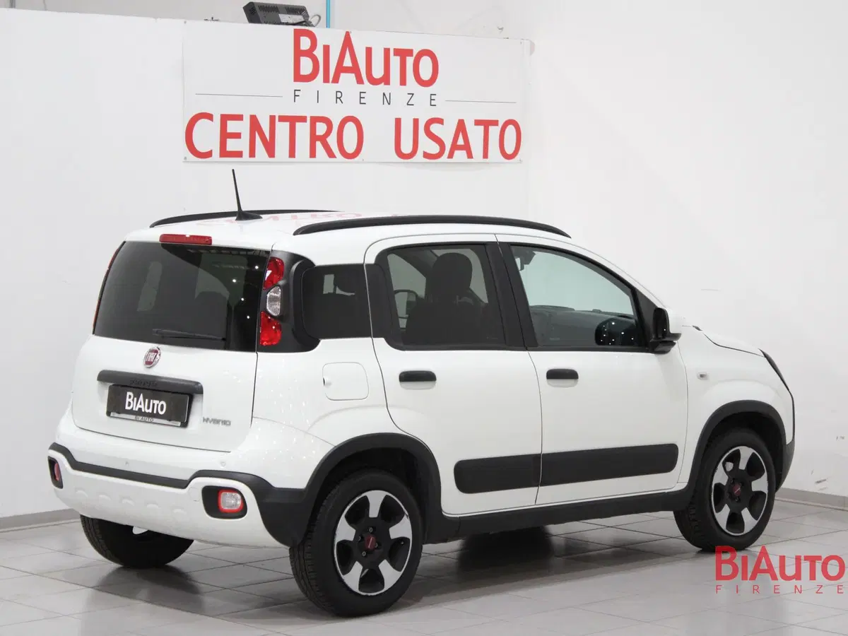 Fiat Panda Cross usata a Firenze (2)