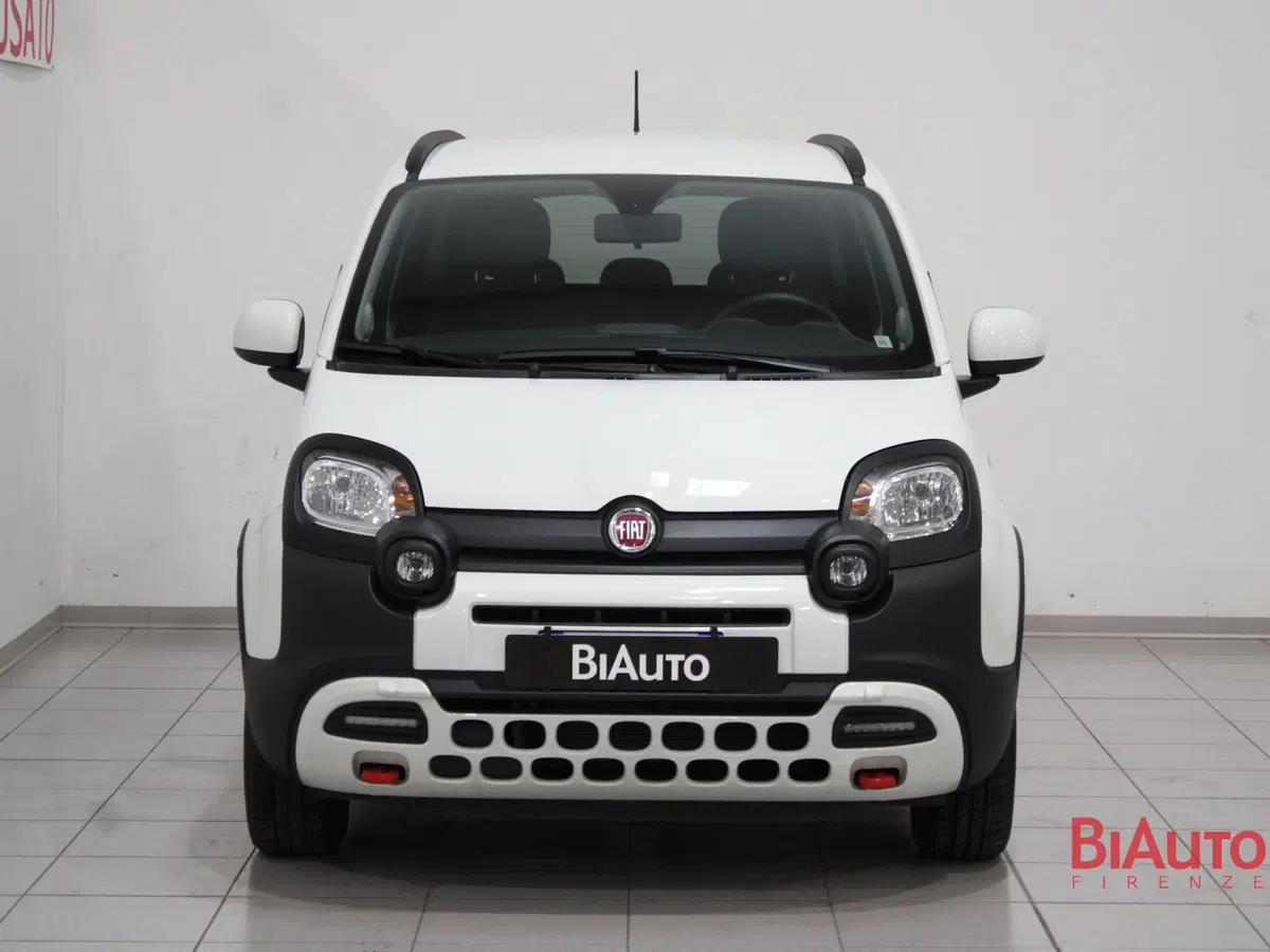 Fiat Panda Cross usata a Firenze (3)