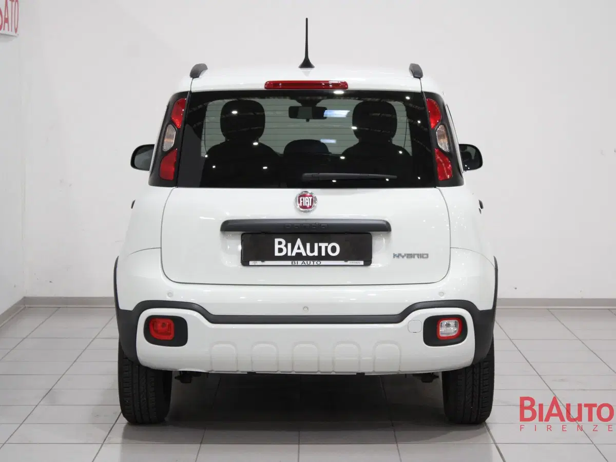 Fiat Panda Cross usata a Firenze (4)