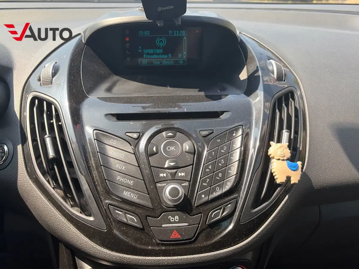 Ford B-Max usata a Torino (15)