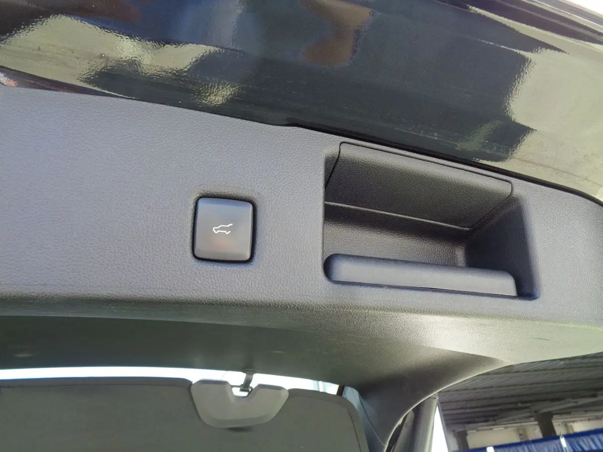 Ford Kuga usata a Treviso (20)