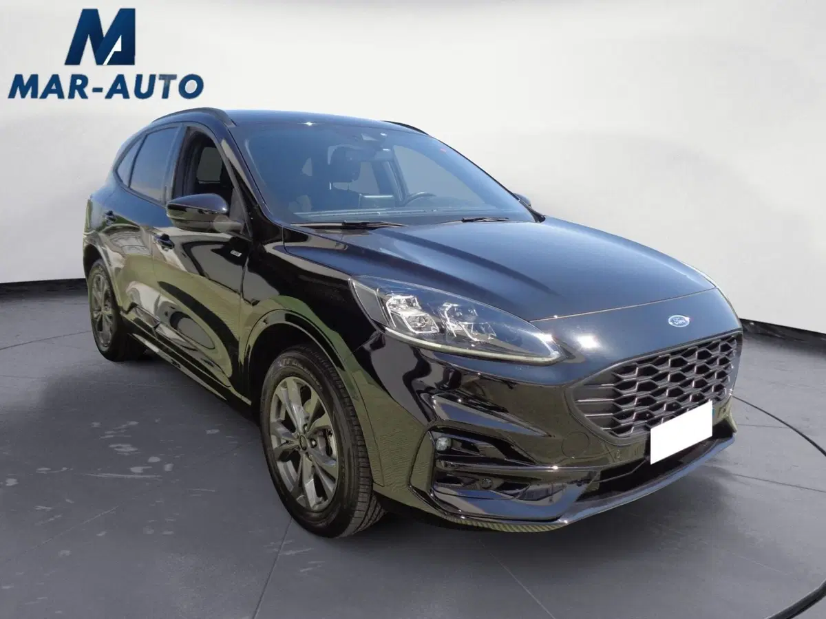 Ford Kuga usata a Treviso (4)