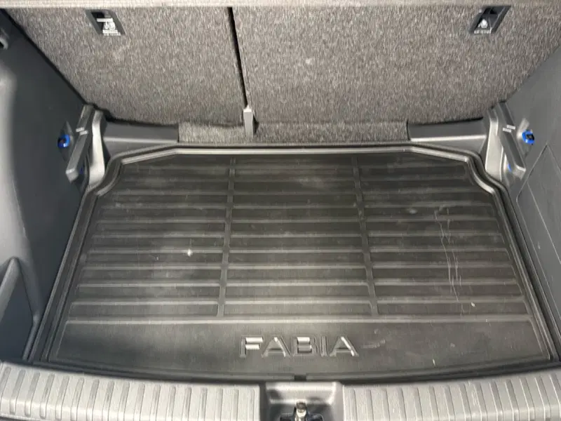 Skoda Fabia usata a Varese (19)