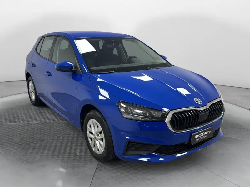 Skoda Fabia usata a Varese (3)