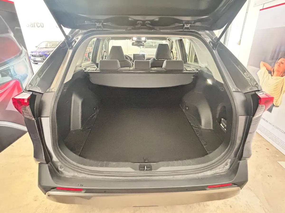 Toyota Rav4 usata a Bergamo (17)