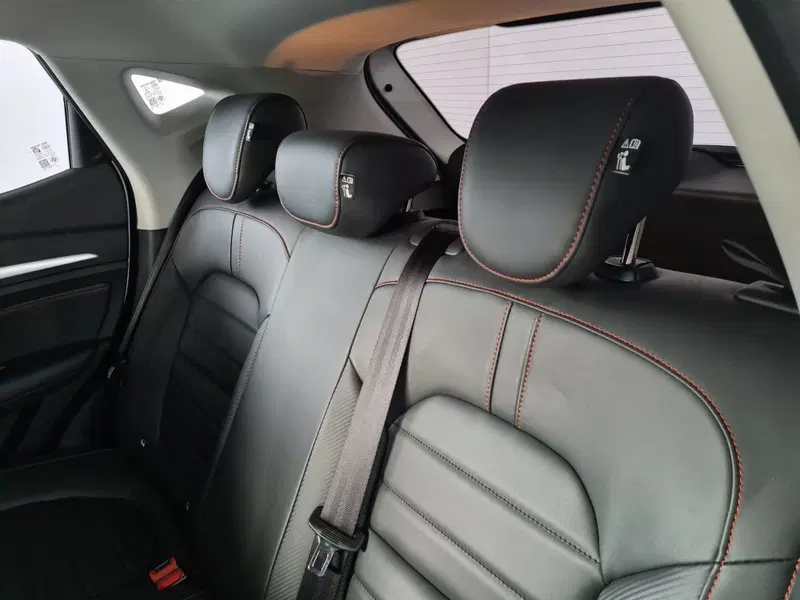 Mg ZS usata a Monza e Brianza (13)