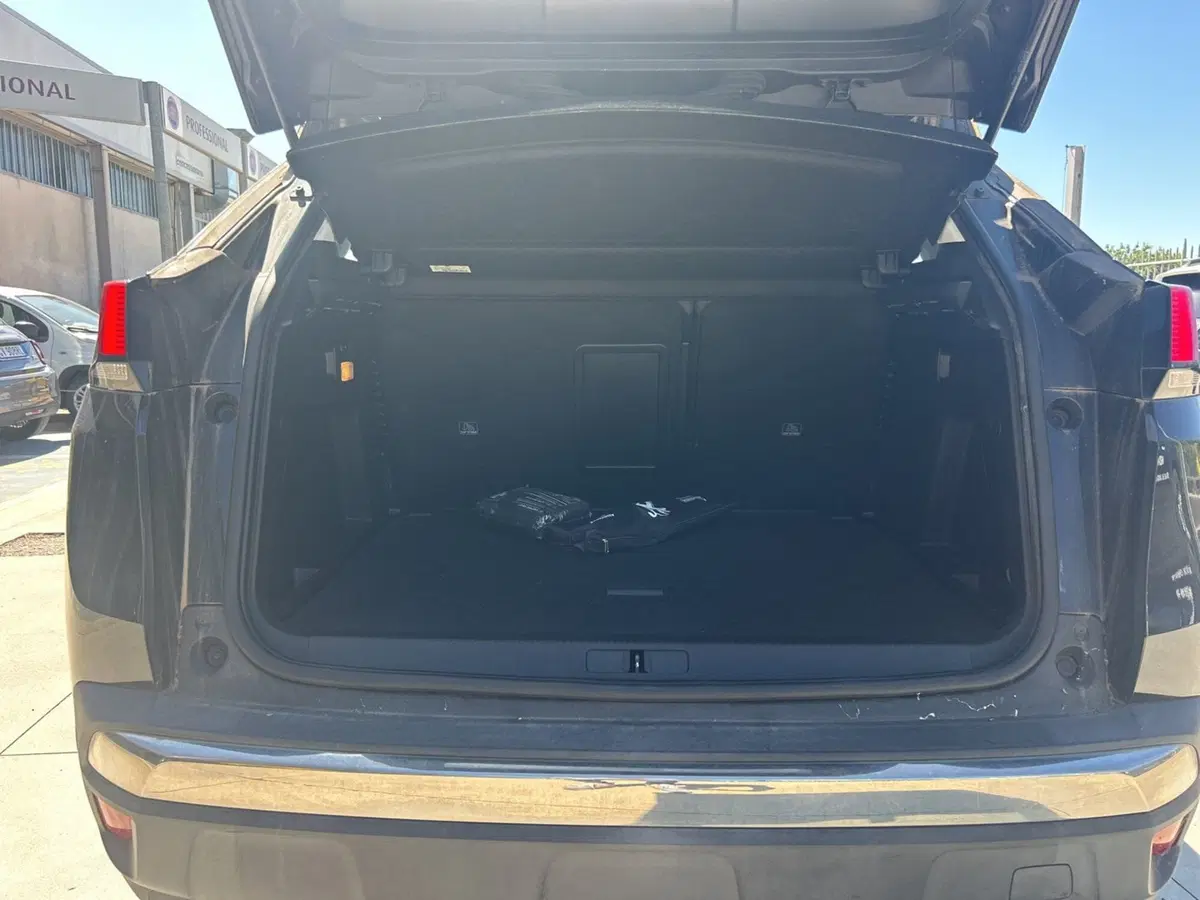 Peugeot 3008 usata a Frosinone (10)