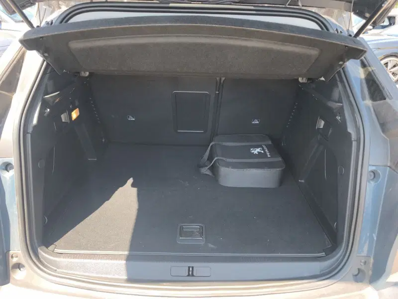 Peugeot 3008 usata a Frosinone (12)