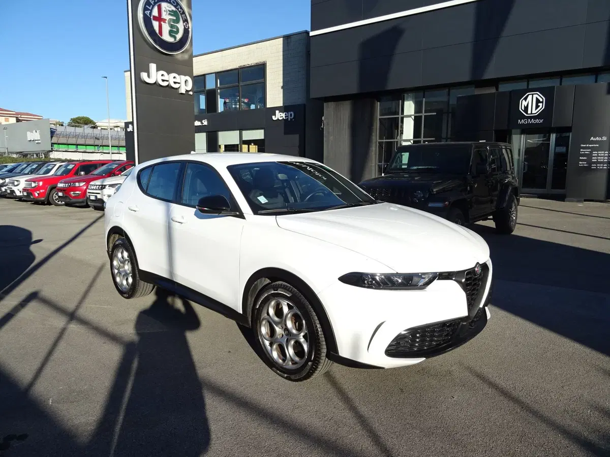Alfa Romeo Tonale usata a Lucca (7)