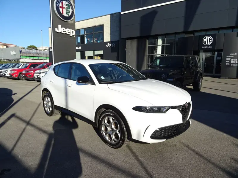 Alfa Romeo Tonale usata a Lucca (7)