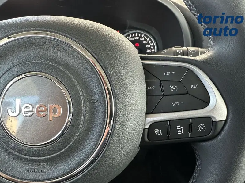 Jeep Renegade usata a Torino (19)