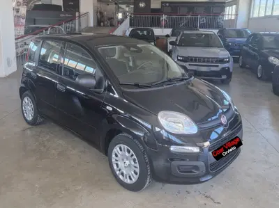 Fiat Panda 1.0 firefly hybrid Icon s&amp;s 70cv nuova a Orvieto