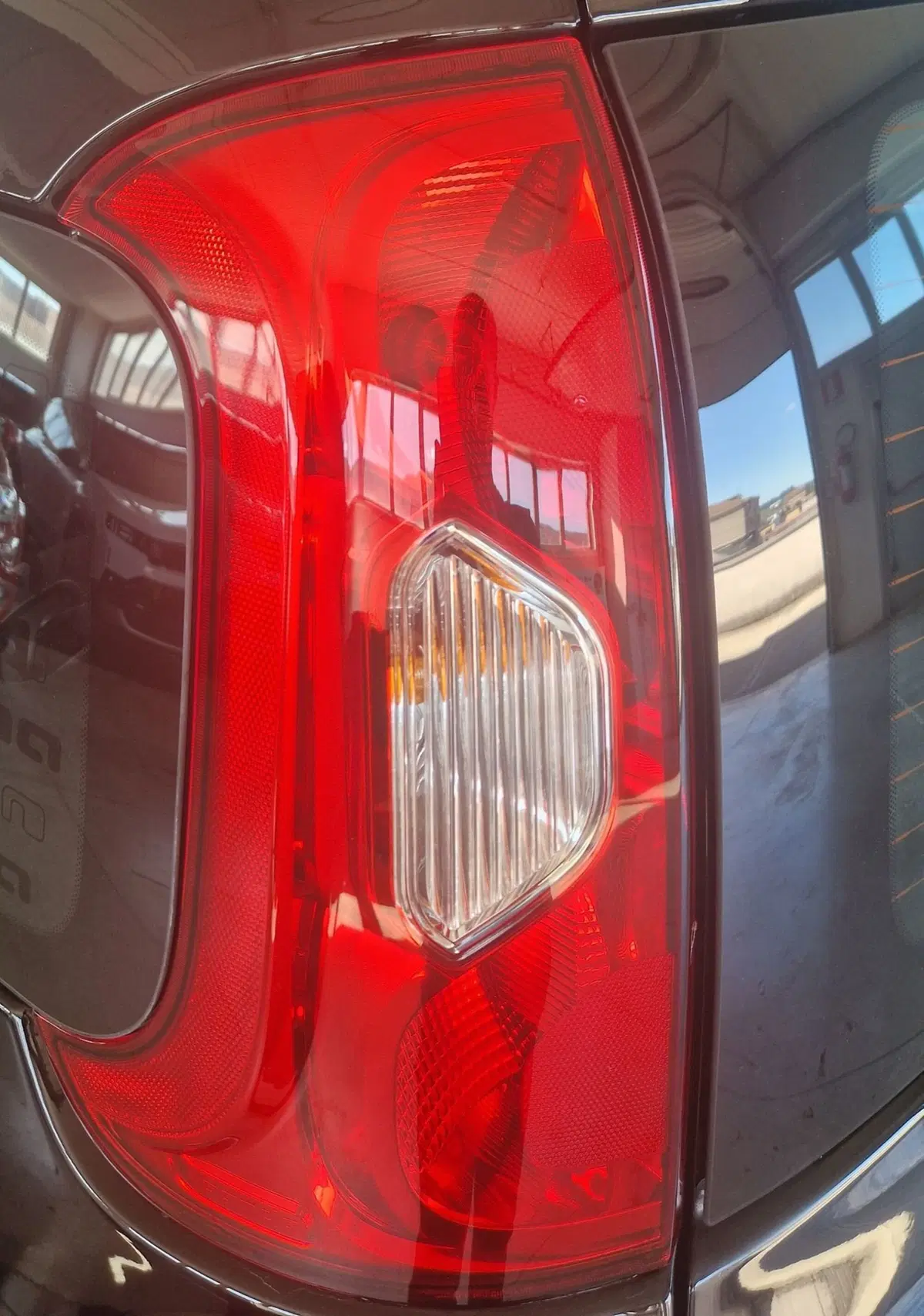 Fiat Panda nuova a Terni (16)