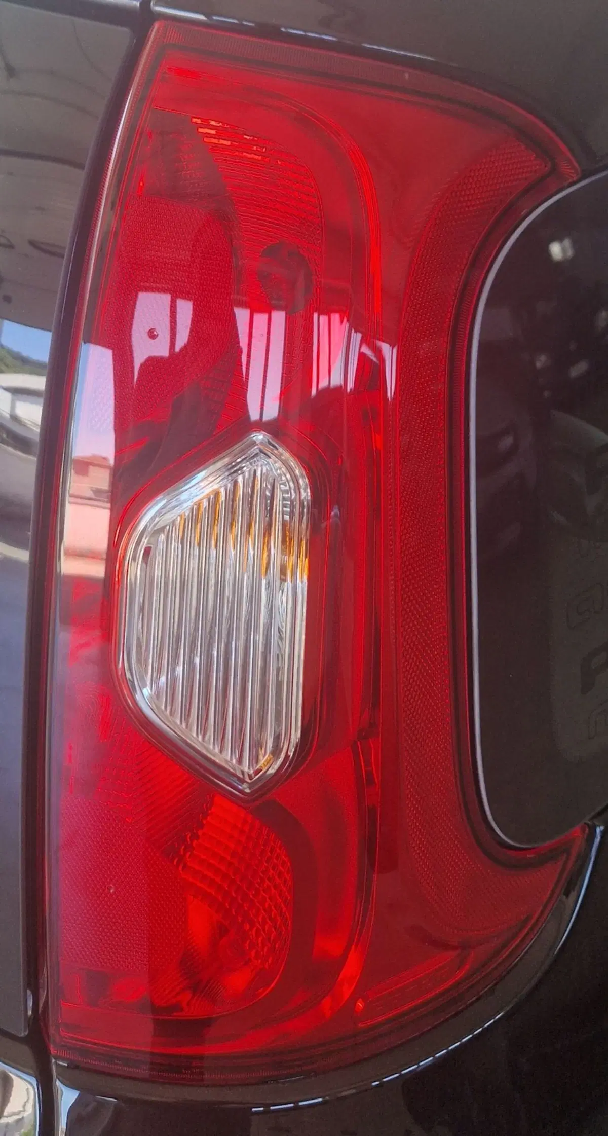 Fiat Panda nuova a Terni (17)