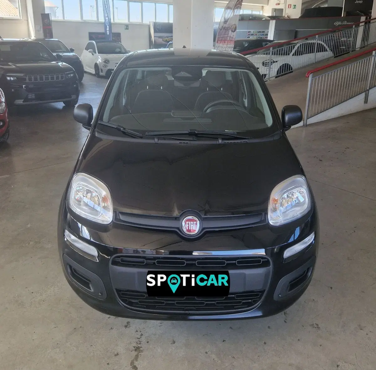 Fiat Panda nuova a Terni (2)