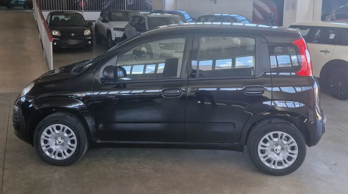 Fiat Panda nuova a Terni (3)