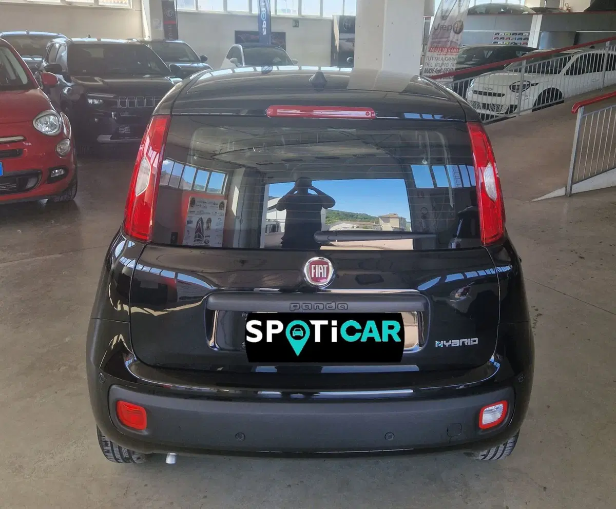 Fiat Panda nuova a Terni (5)
