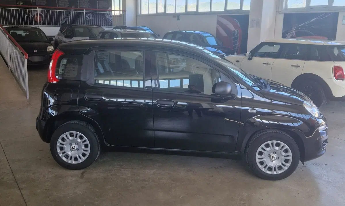 Fiat Panda nuova a Terni (6)