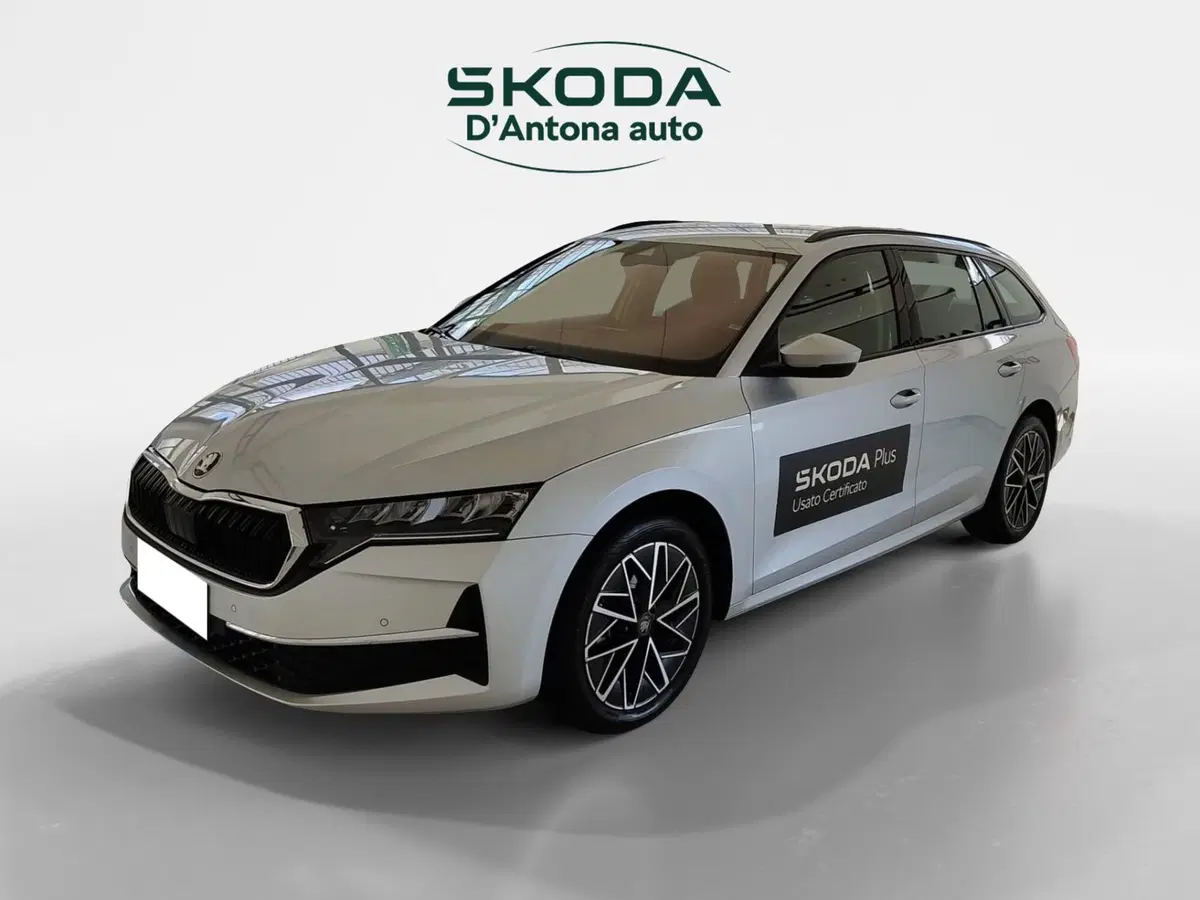Skoda Octavia Station Wagon usata a Taranto (2)