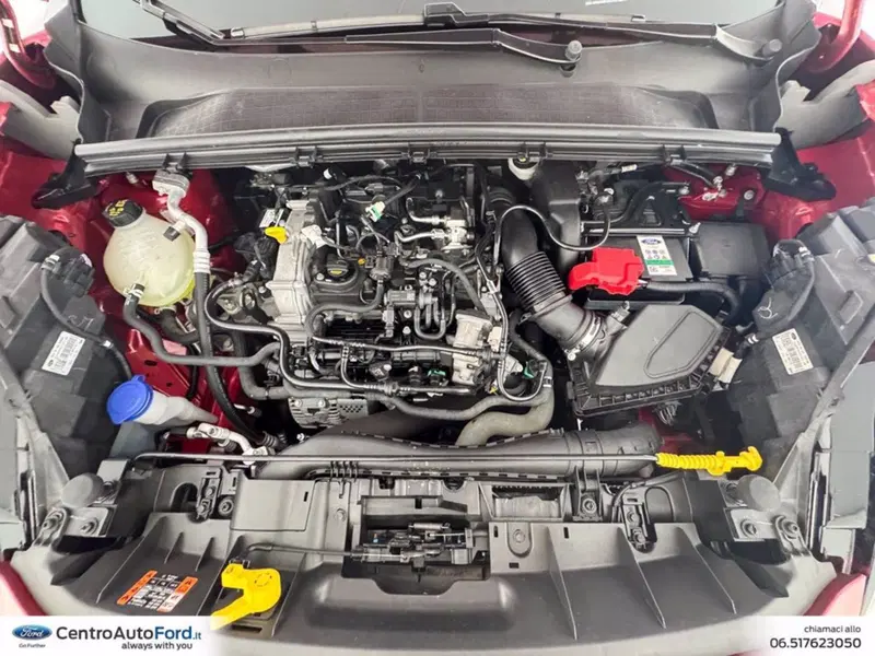 Ford Puma usata a Roma (12)